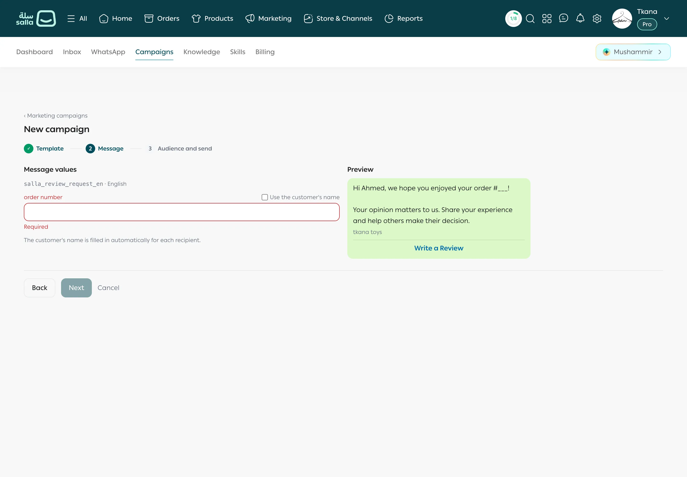 Step 2 of a new campaign: message values with a required box, the Use the customer's name option, and the preview