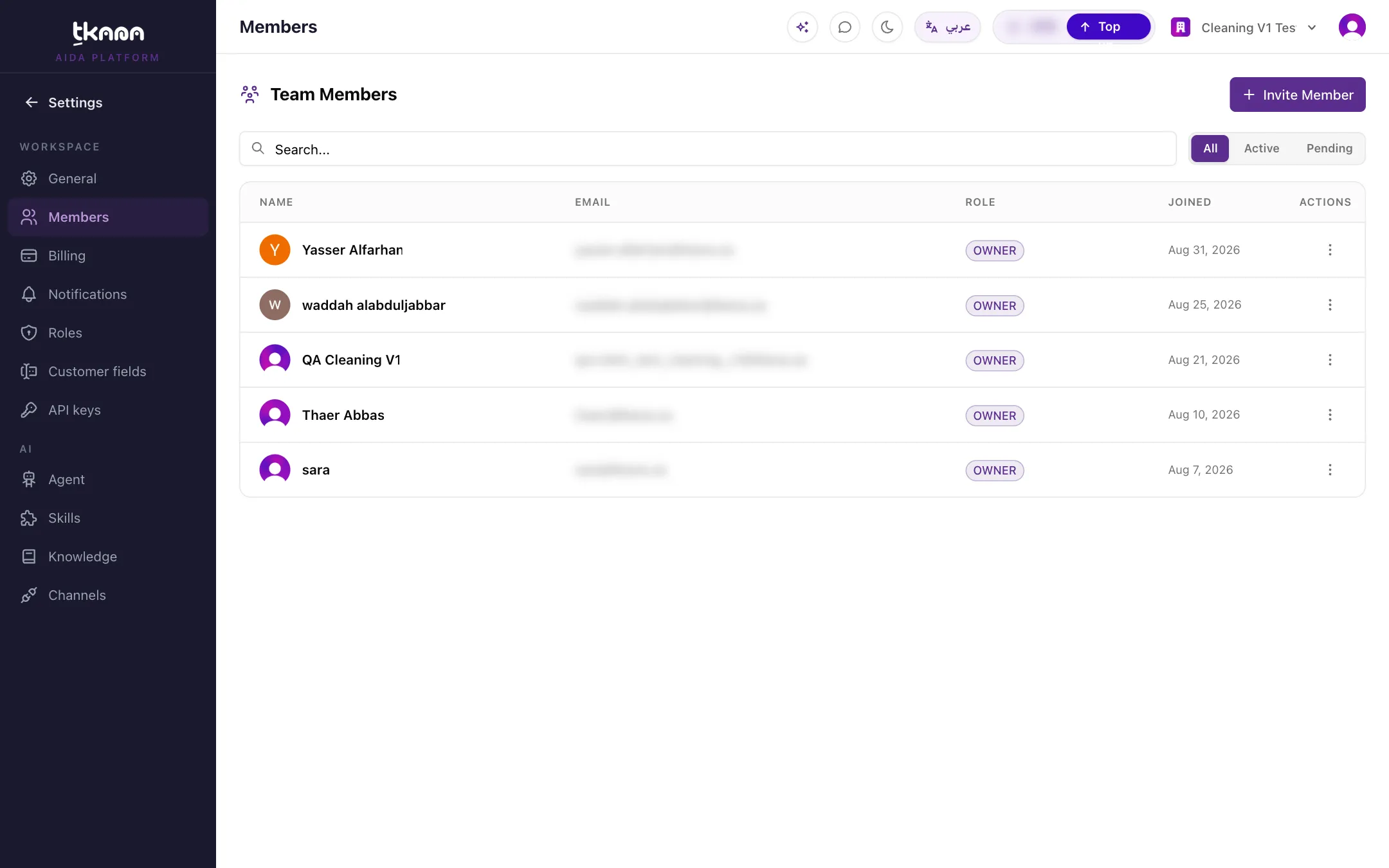 The Invite Team Member window with email and role
